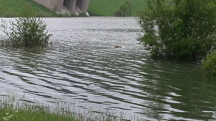 Foto: Mathias Jakubowski