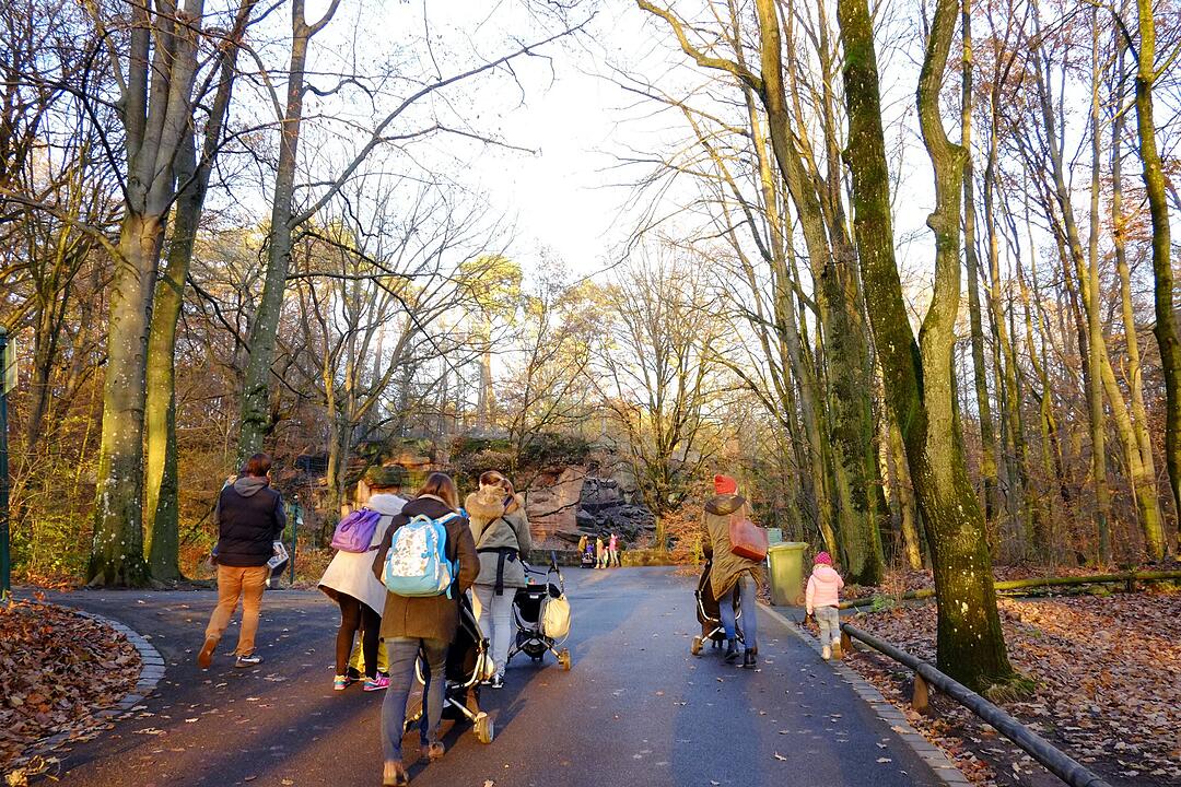 Viele Familien genießen den Tiergarten auch im Winter.