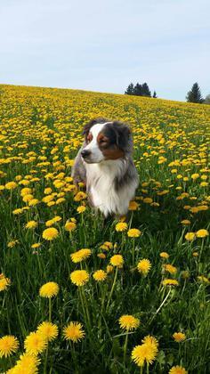 Foto: Madeleine Wunder