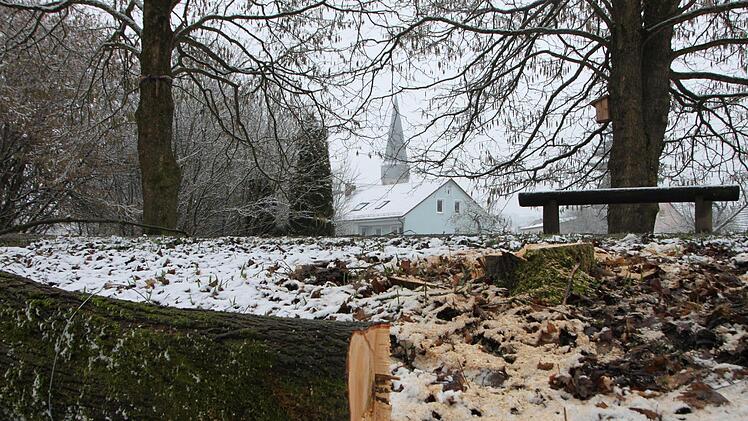 Holzfällarbeiten entlang des Hochwasserdamms.Heike Beudert