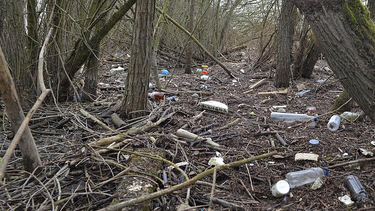 M&uuml;ll statt Idylle - gesehen am Hutweidsee. Karl Heinz Weber