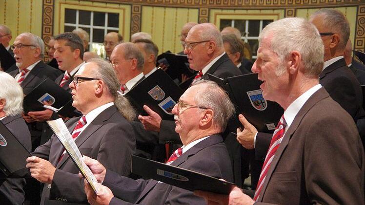 Der  Landkreismännerchor Foto: Klaus Werner