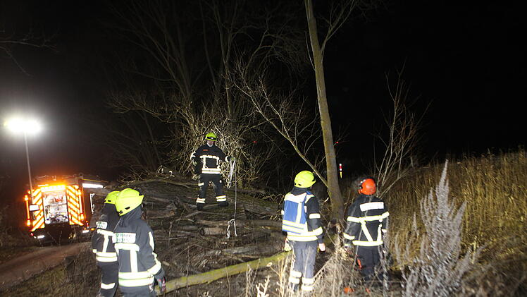 Baum drohte auf die Schienen zu stürzen: Biber schuld an Feuerwehreinsatz