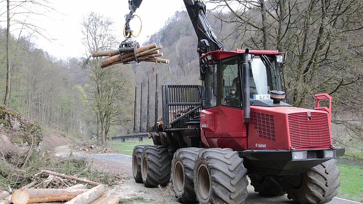 Die Bäume werden gefällt und an Ort und Stelle aufgearbeitet. Fotos: Josef Hofbauer