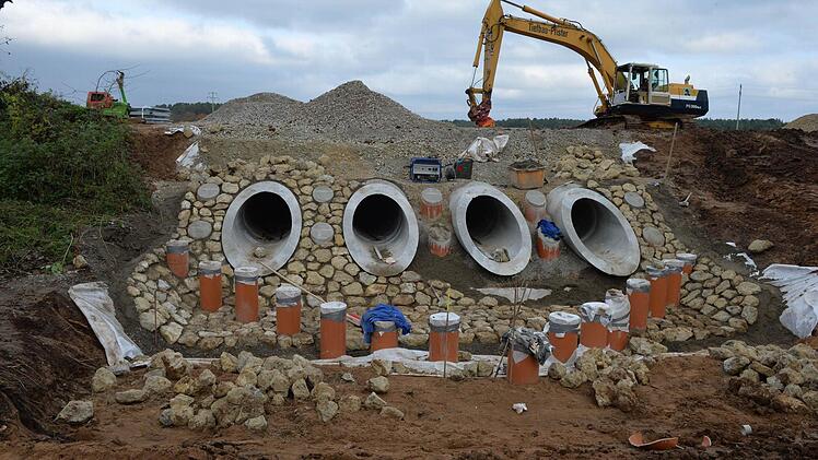 Foto: Ronald Rinklef