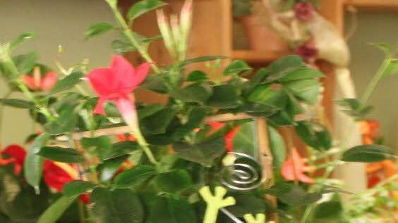 Foto: Sebastian Martin