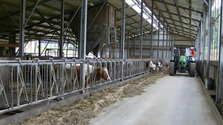 Foto: Petra Malbrich