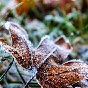 Die schönsten Fotos im November aus Bad Kissingen und Umgebung