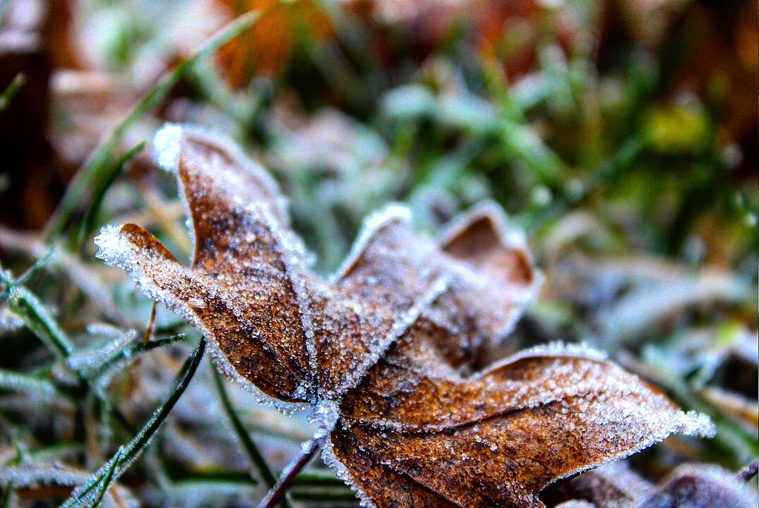 Die schönsten Fotos im November aus Bad Kissingen und Umgebung