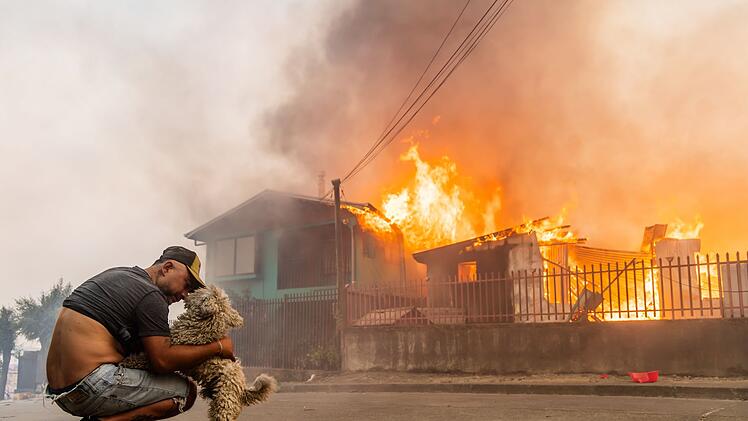 Waldbr&auml;nde in Chile