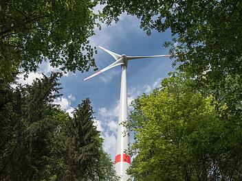 Im Lichtensteiner Wald könnten, wenn die Pläne des Marktes Maroldsweisach und der Nachbarn in Seßlach verwirklicht würden, bis zu 40 Windräder aus dem Boden schießen. Solch eine Konzentration von Anlagen hält der Gemeinderat von Maroldsweisach für überzogen.  Foto: dpa/Archiv