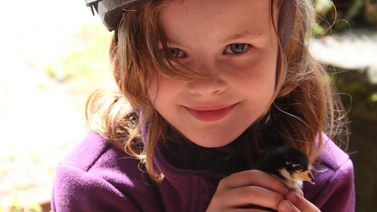 Die flauschig weichen Küken wurden gerne von Kindern aus ihrer Box geholt.  Fotos: Gerda Völk