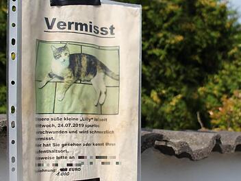 In einigen Straßenzügen von Neuhaus hängen Suchanzeigen. Verzweifelte Herrchen bitten  seit Wochen  um Hinweise über den Verbleib ihrer Katzen.  Foto: Christian Bauriedel