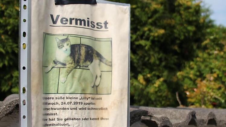In einigen Straßenzügen von Neuhaus hängen Suchanzeigen. Verzweifelte Herrchen bitten  seit Wochen  um Hinweise über den Verbleib ihrer Katzen.  Foto: Christian Bauriedel
