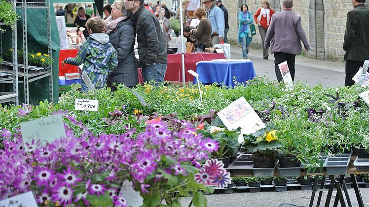 Blumen, Blumen, Blumen...