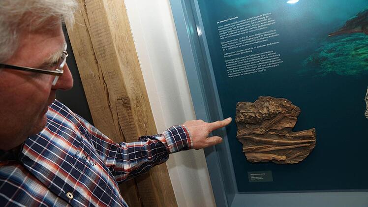 Bernd Neubig hat den Phantomosaurus neubigi entdeckt.