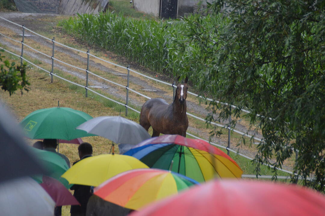 Hellmitzheim hat Zukunft