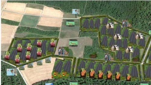 Der Gemeinderat gab mehrheitlich seine grundsätzliche Zustimmung, die Bürger sollen jedoch mitreden können beim geplanten, 40 Hektar großen Solarpark in der Lauerbach.