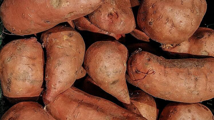 Reich an wertvollen Vitaminen: die Süßkartoffel.