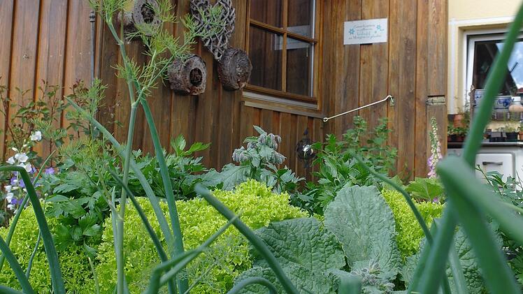 Impressionen aus dem Garten von  Marion und Michael Herbert