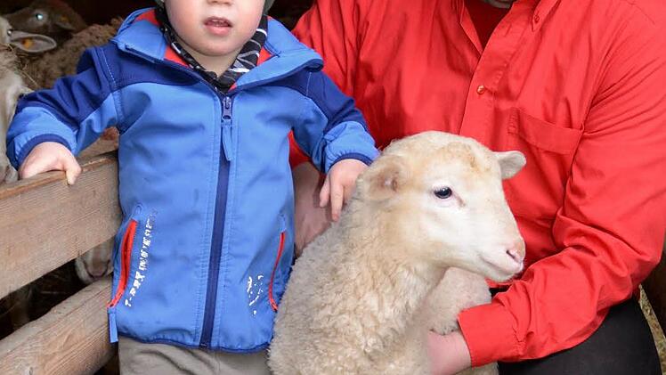 Metzgermeister Markus Alles mit Sohn Lukas und einem nur wenige Wochen alten Lamm. Foto: Kathrin Kupka-Hahn