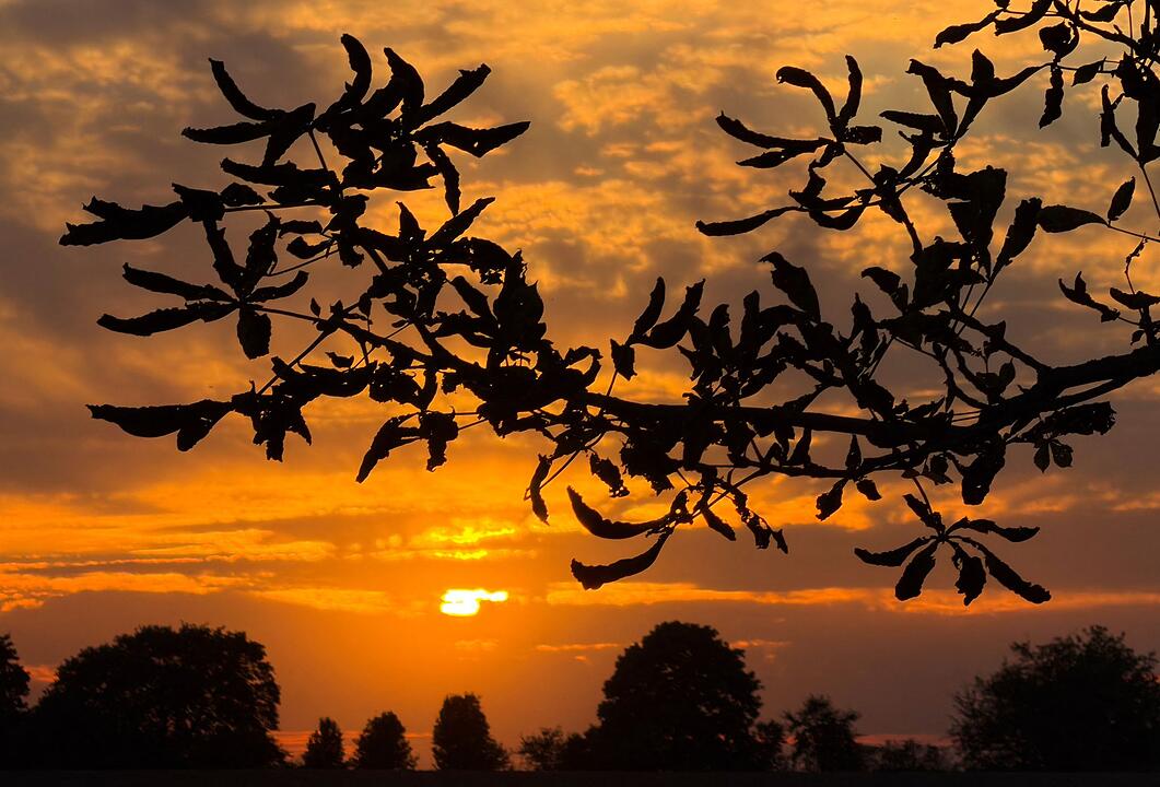 Sonnenuntergang in Brandenburg