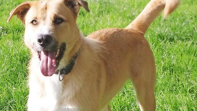 Atreyu hat seinen Optimismus nicht verloren. Foto: privat