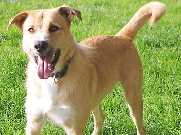 Atreyu hat seinen Optimismus nicht verloren. Foto: privat