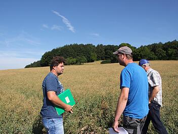 Die Pr&uuml;fer Clemens Schmittfull (links) und Erhard Prinz (rechts) gehen mit Pr&uuml;fling Michael Schneider aus Burgpreppach ins Rapsfeld bei Bramberg: Dort muss der 29-J&auml;hrige den Pflanzenbestand fachkundlich beurteilen. Fotos: Andreas L&ouml;sch