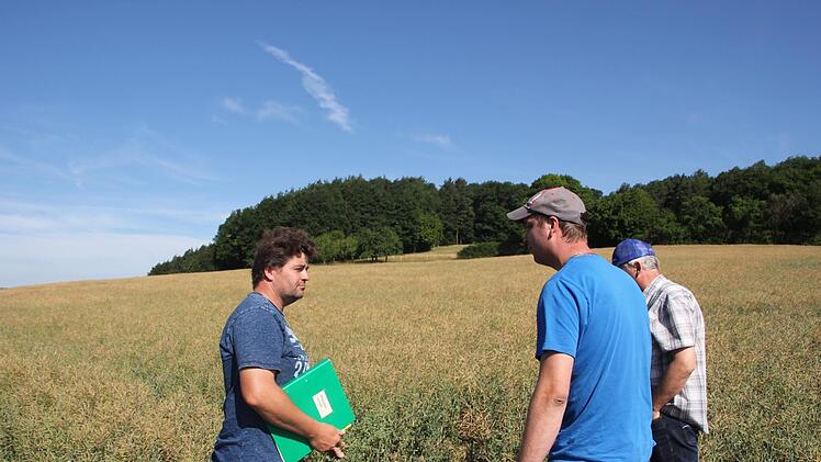 Die Pr&uuml;fer Clemens Schmittfull (links) und Erhard Prinz (rechts) gehen mit Pr&uuml;fling Michael Schneider aus Burgpreppach ins Rapsfeld bei Bramberg: Dort muss der 29-J&auml;hrige den Pflanzenbestand fachkundlich beurteilen. Fotos: Andreas L&ouml;sch