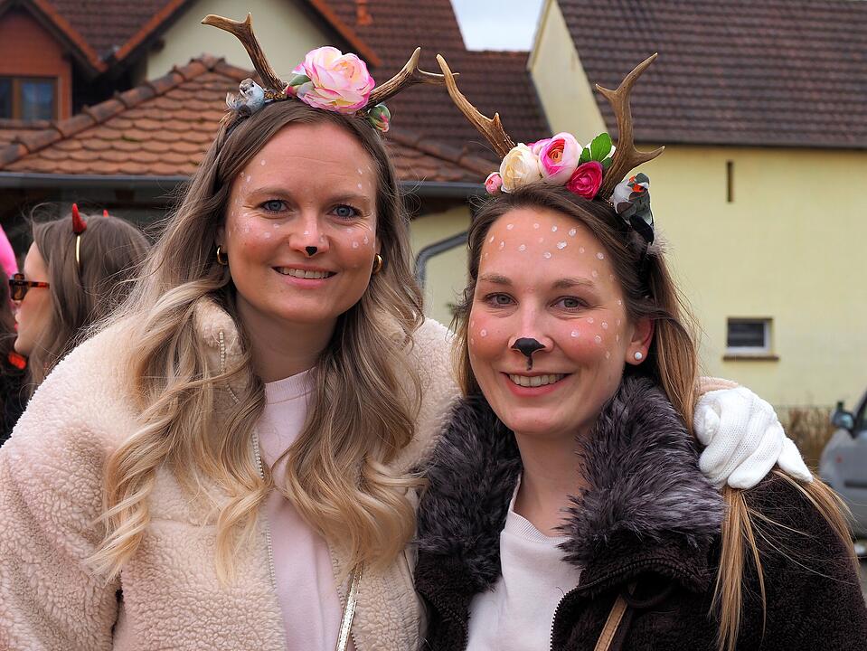 Fasching 2025 in Franken!