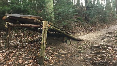 Die Schanzen gefallen nicht allen Waldbesuchern.