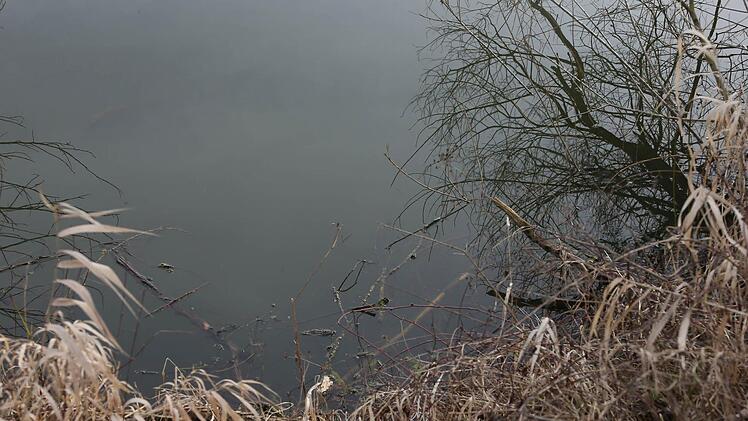 Foto: Matthias Hoch