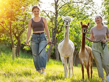 Erlebnisgeschenke: Jochen Schweizer oder mydays? Dieser Anbieter hat die Nase vorn