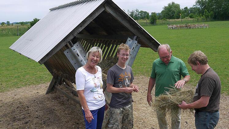 Das Damwild hält schön Sicherheitsabstand, wenn Thomas Schreiner mit Gerhard Ehrlich, Tobias Schreiner und Kreisbäuerin Heidi Bauersachs (von rechts) über das richtige Futter diskutieren. Wer mehr über die Damwild-Haltung erfahren möchte, hat dazu beim "Tag des offenen Hofes" am Sonntag, 6. Juli, in Wiesenfeld die Gelegenheit. Fotos: Berthold Köhler
