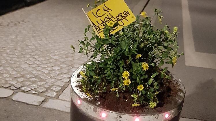 Foto: "Dodu"
