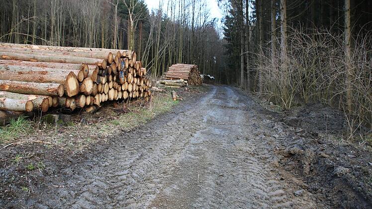 Die Wege werden von den schweren Maschinen arg in Mitleidenschaft gezogen. Doch die Waldbesitzer haben keine Wahl, das Käferholz muss raus - und zwar schnell. Foto: Christine Fischer