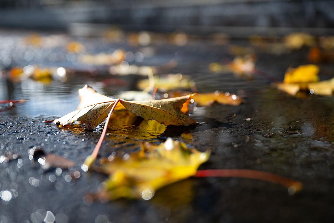 Herbstwetter in Hessen