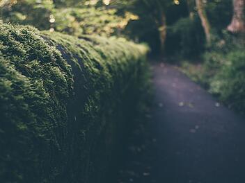 Tierheim Hersbruck: Fußgänger findet ausgesetzte Tiere in Hecke an Bahnhof