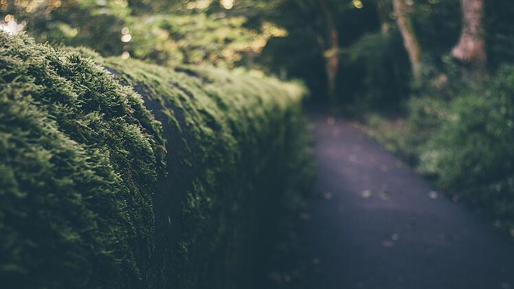 Tierheim Hersbruck: Fußgänger findet ausgesetzte Tiere in Hecke an Bahnhof