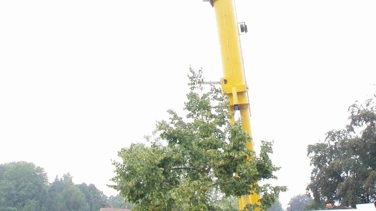 Arbeiten am Schwarzen Steg. Foto: Marco Meißner