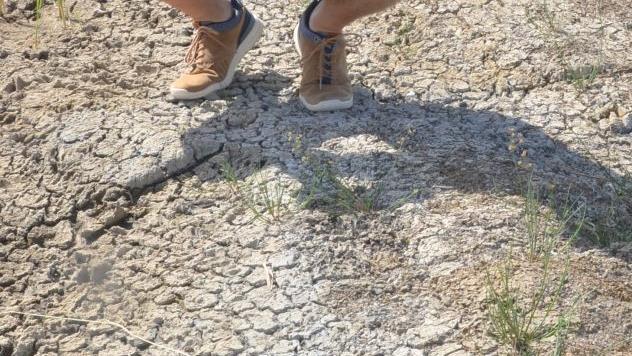 Alexander Ulmer zeigt die helle Salzkruste einer ausgetrockneten Pfütze nahe dem Lauter-Überleiter. Fotos: Rainer Lutz