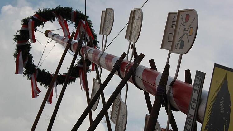 Der Maibaum der Stadt Ebern besteht, anders als die Birkenbäumchen in all den umliegenden Orten , aus einem rot-weiß bemalten Stamm, der mit Zunftzeichen versehen wurde. Nach alter Tradition wird er mit Muskelkraft und unter Zuhilfenahme langer Stangen aufgestellt.  Foto: Katharina Becht