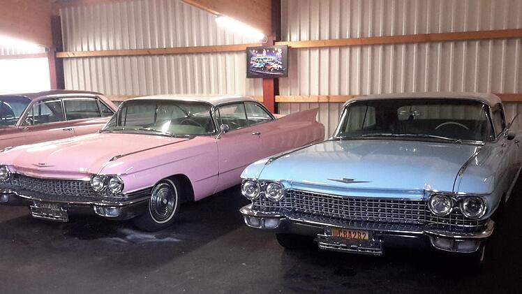 Blitzendes Chrom und ungewöhnliche Farben sind die Markenzeichen der amerikanischen Straßenkreuzer. Dicht an dicht reihen sich beispielsweise liebevoll restaurierte Cadillacs. Foto: Rolf Pralle