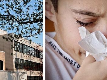 Feucht: Realschule erlebt Krankheitswahnsinn - 250 Schüler fehlen an einem Tag