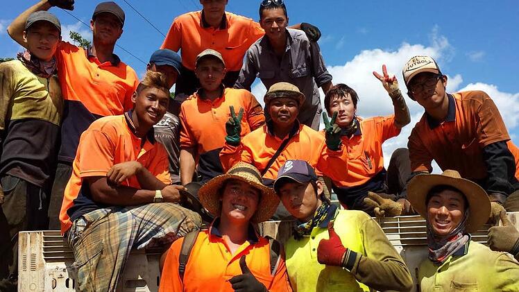 Die "Bucket-Boys" ("Eimer-Jungs") auf einer australischen Tomatenfarm kommen aus Korea, Kambodscha, Taiwan, Frankreich und Deutschland. (2. von links Denis).  Foto: privat
