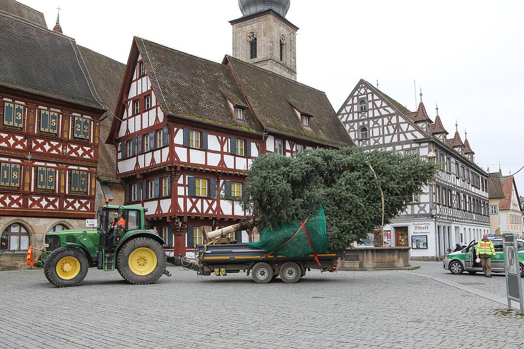Christbaum kommt aus Schlaifhausen  auf den Forchheimer Rathausplatz