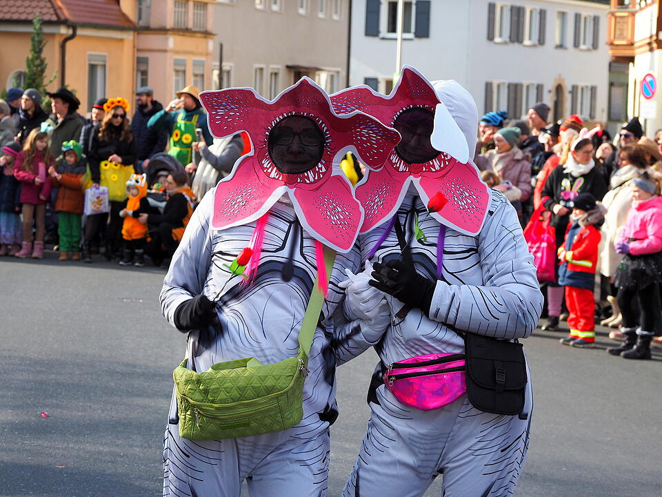 Wildes Faschingstreiben in Steinach an der Saale.