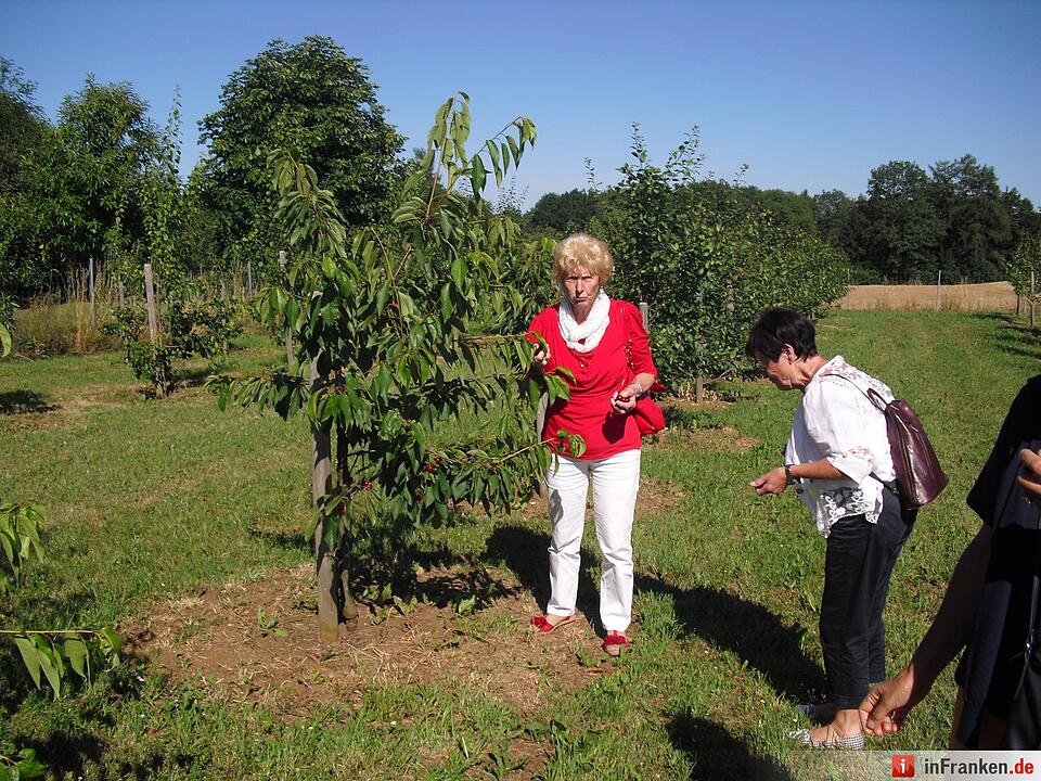 ABO Plus Kirscherntenfahrt 10.07.2015