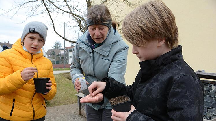 Für prächtige Blüten im Sommer: Lehrerin Birgit Baumann verteilt Sonnenblumen-Samen an die Kinder.